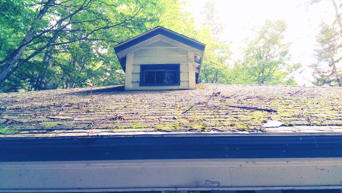 mossy roof 