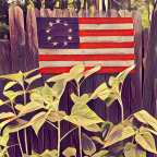 Celebrating the 4th of July!