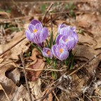 Work + Holidays + Life