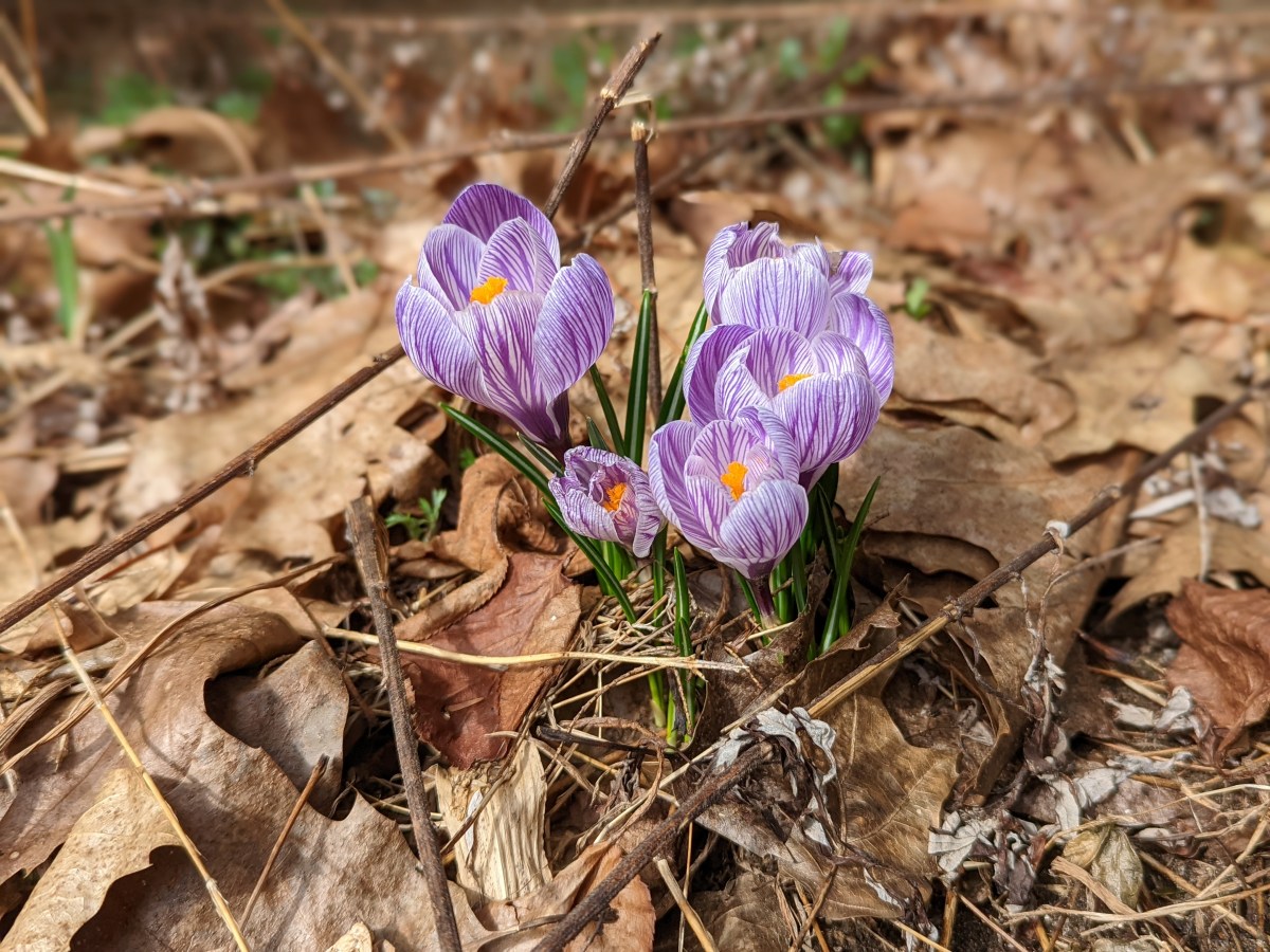 Work + Holidays + Life