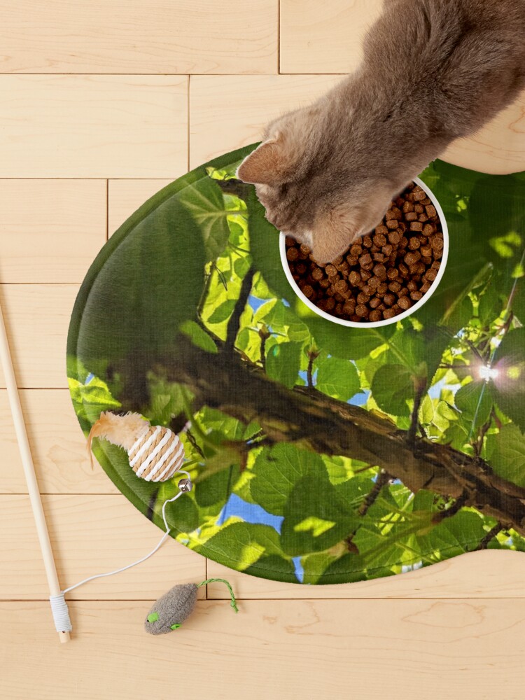 Summer cat mat