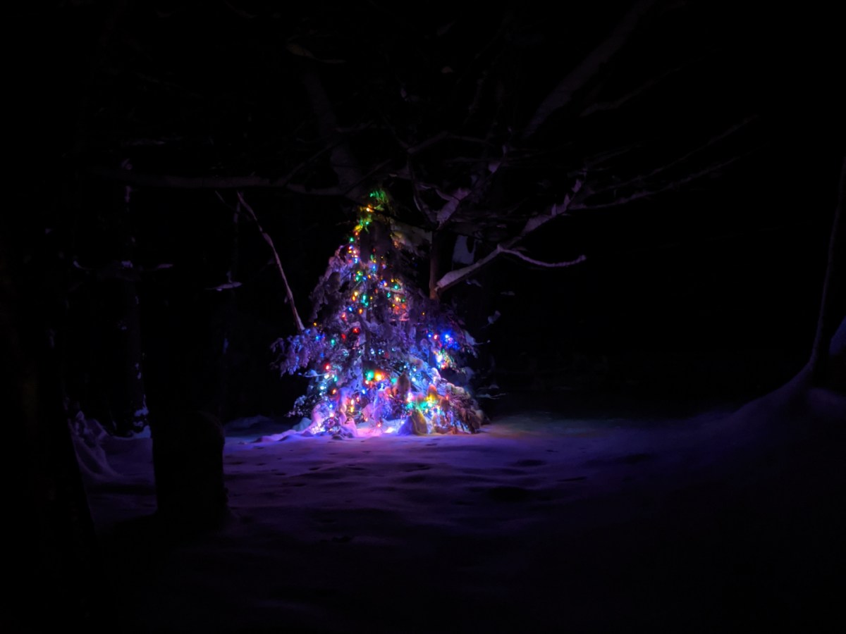 Lights in Dark of Winter