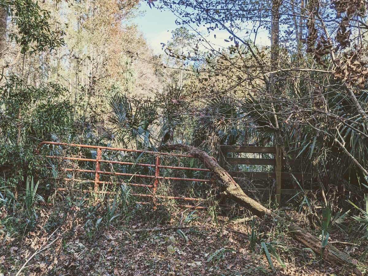 End of the Tropical Trail