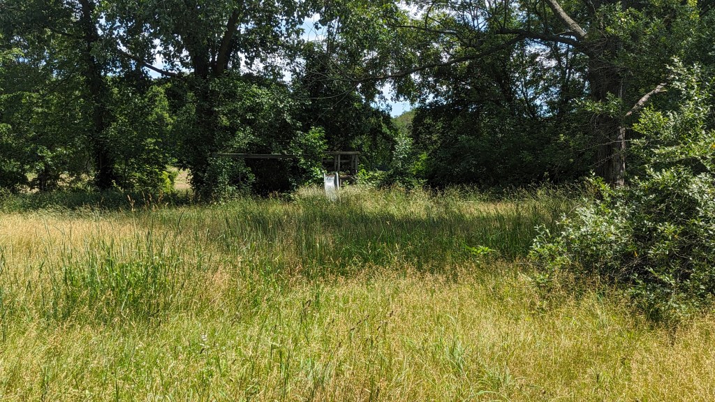 abandoned playground