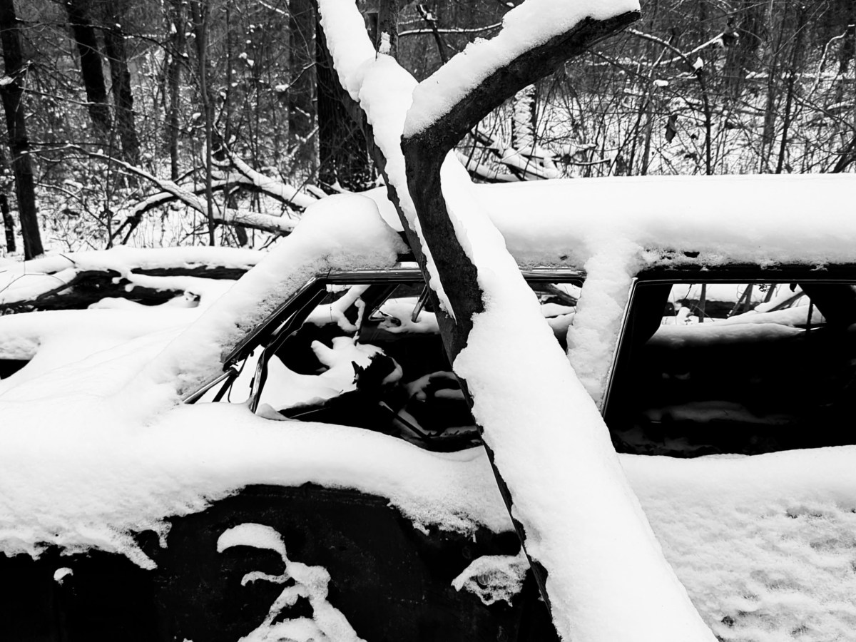 Abandoned in Winter’s Embrace