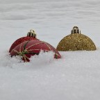 Crimson & Gold in the Cold