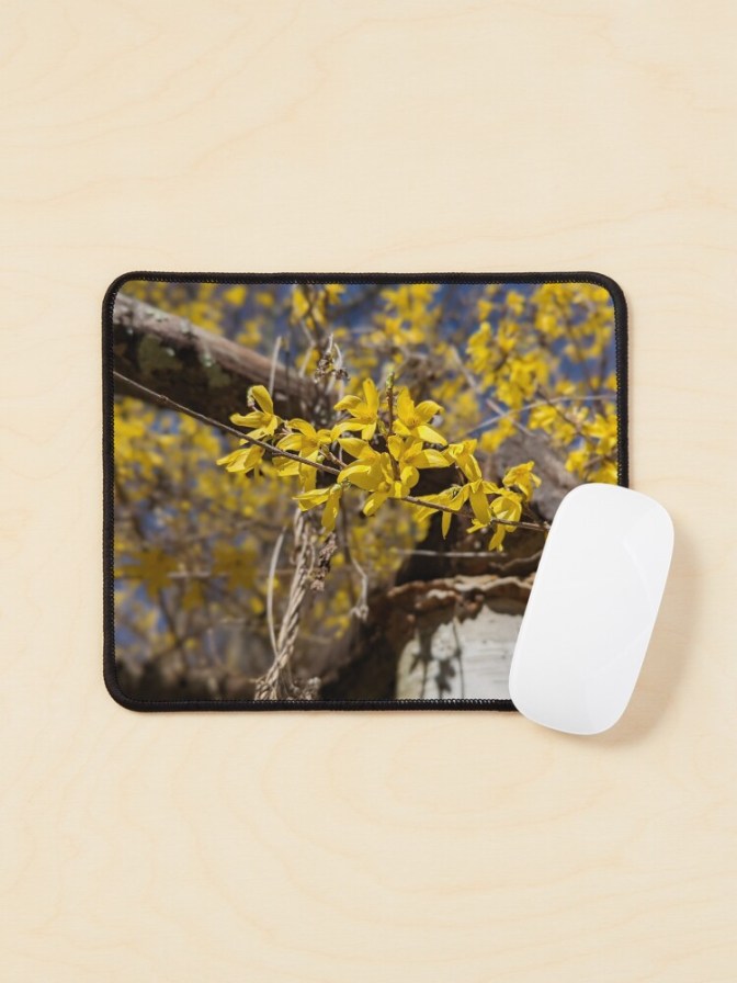 spring flowers mouse pad