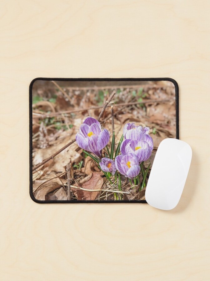 Purple Crocuses mouse pad