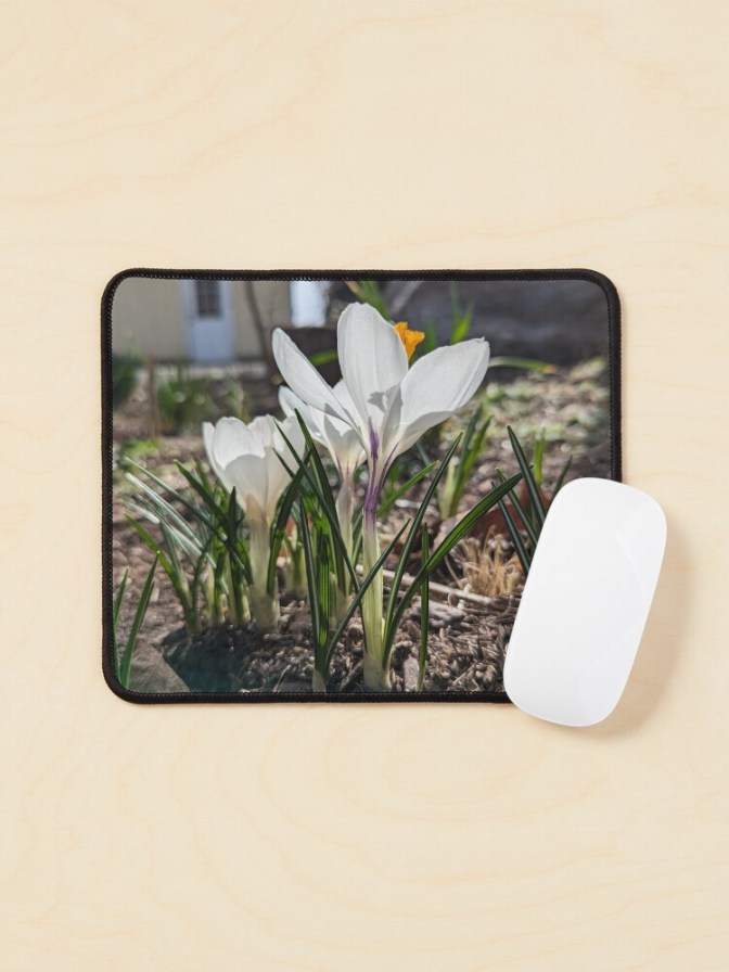 White Crocuses mouse pad