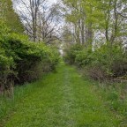 The Path Less Traveled