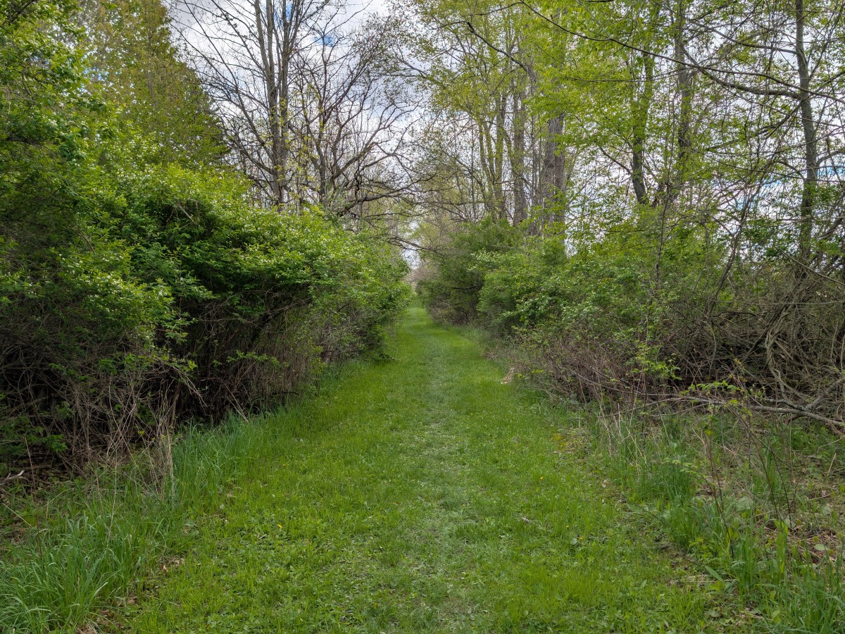The Path Less Traveled