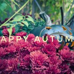 Happy Autumn!