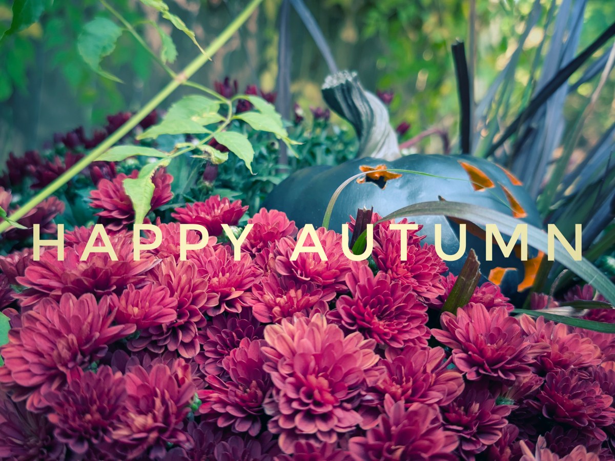 Happy Autumn!